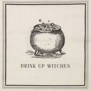 Halloween DRINK UP WITCHES Paper Cocktail Napkins cauldron 2 Packs of 40 T25